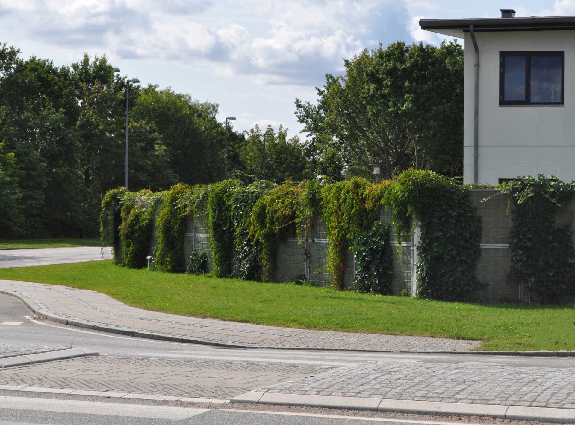 Noistop Steel barrier fully covered with climbing plants in a residential setting
