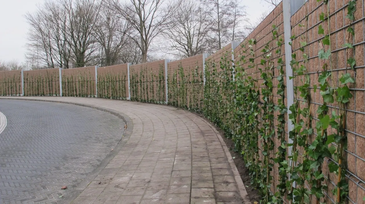 Greenwall Cassette along the Meerkerkdreef in Amsterdam with climbing plants