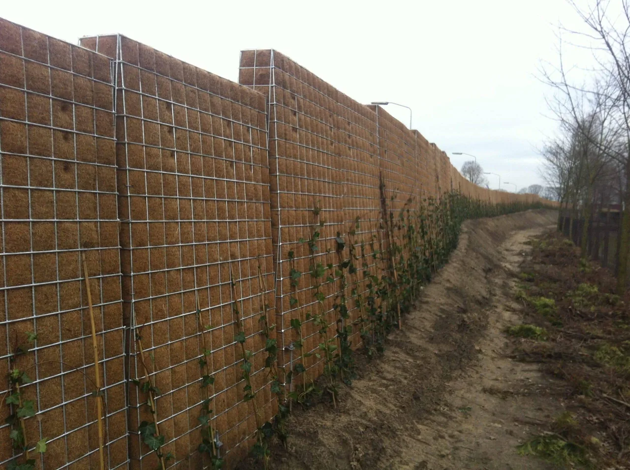 Greenwall Classic barrier along the Deurne ring road with planting and trees in the background