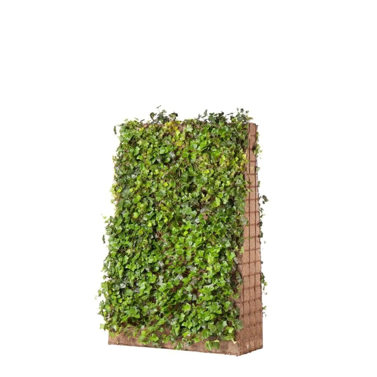 Greenwall Classic sound barrier with lush green planting along a road