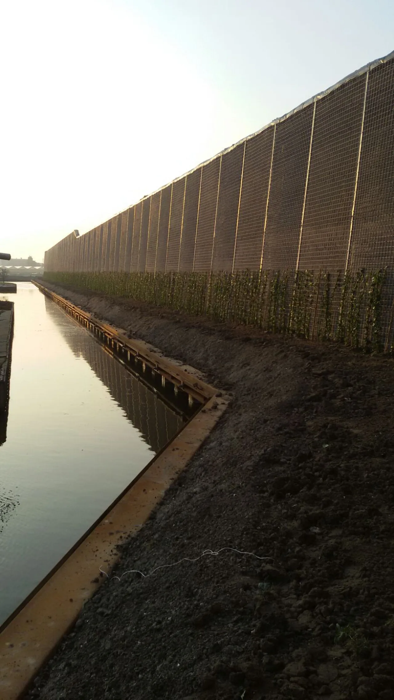 Greenwall Construct up to 7 metres tall along the World Horti Center in Naaldwijk
