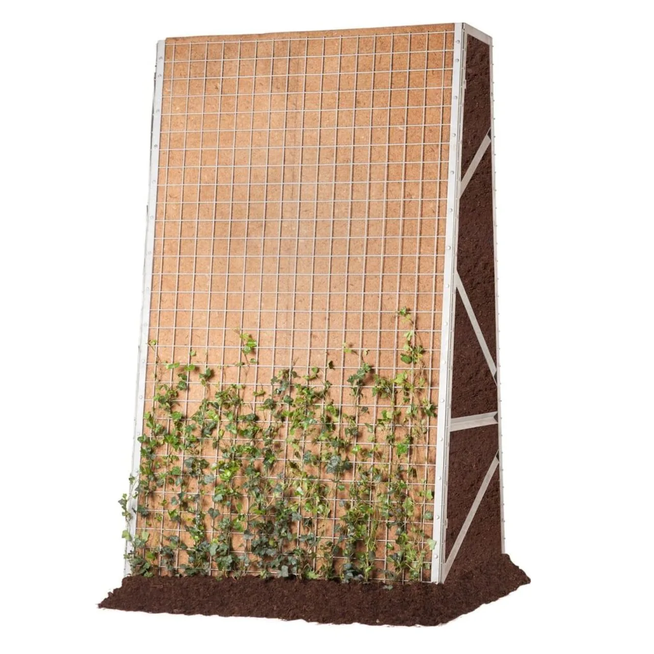 Tall Greenwall Construct sound barrier with planting along a motorway
