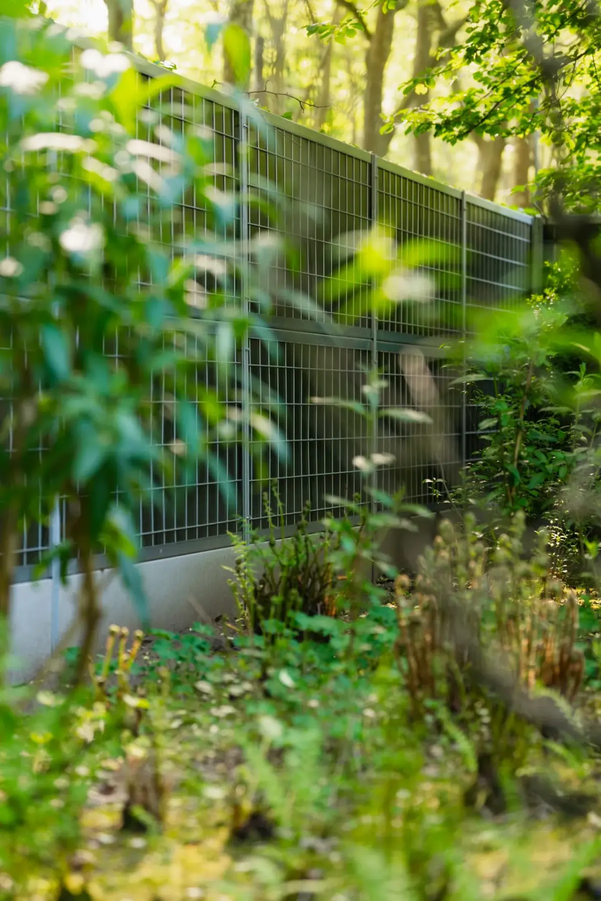 Noise-Reducer sound barrier in a wooded garden to reduce noise from neighbours