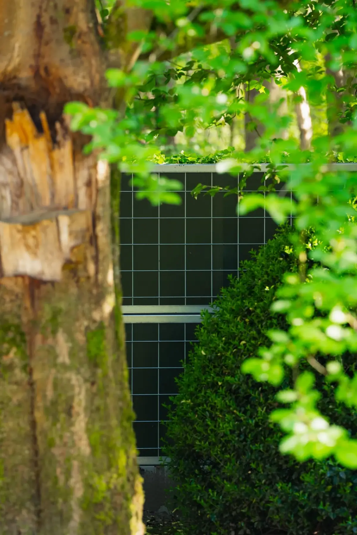 Detail of a Noise-Reducer barrier in a garden with a vegetated top edge, integrated into the green surroundings