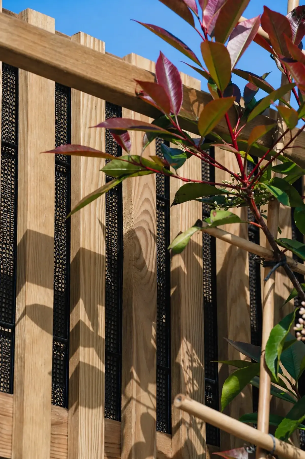 Detailopname van Noise-Reducer Wood: warme natuurlijke tint van de thermisch behandelde houten latten met absorberend zwart gaas tussen de spijlen